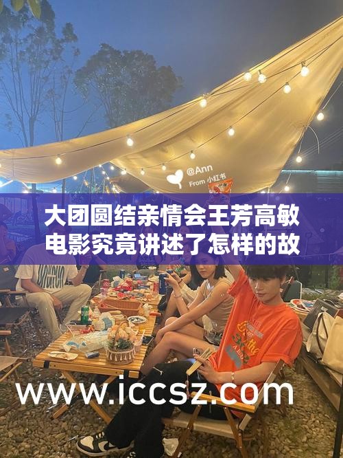 大团圆结亲情会王芳高敏电影究竟讲述了怎样的故事？引发全网热议