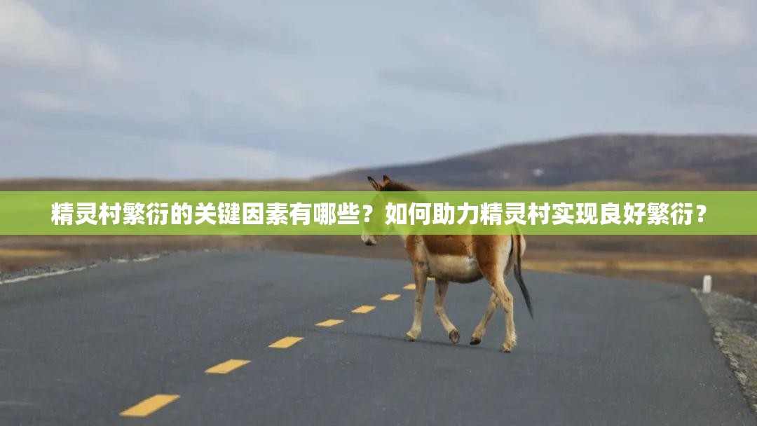 精灵村繁衍的关键因素有哪些？如何助力精灵村实现良好繁衍？