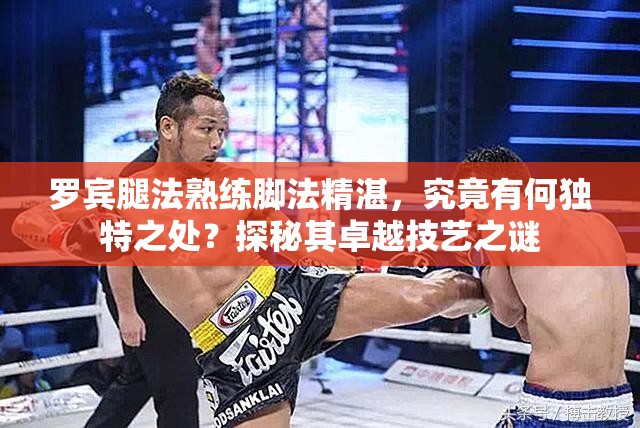 罗宾腿法熟练脚法精湛，究竟有何独特之处？探秘其卓越技艺之谜