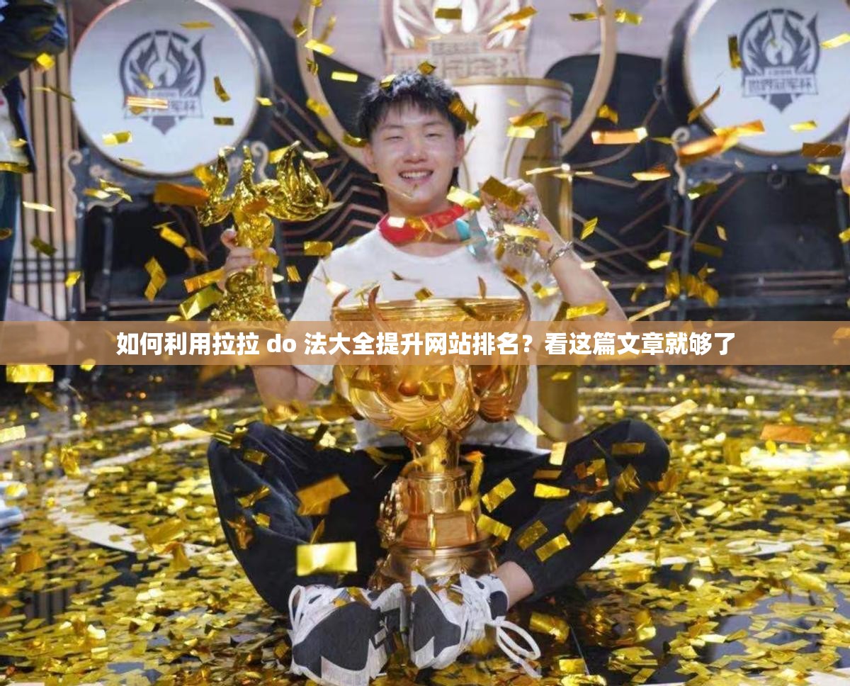如何利用拉拉 do 法大全提升网站排名？看这篇文章就够了