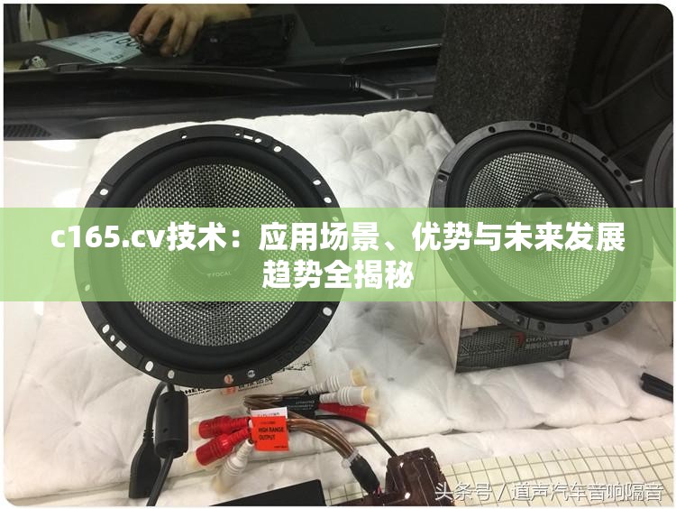 c165.cv技术：应用场景、优势与未来发展趋势全揭秘