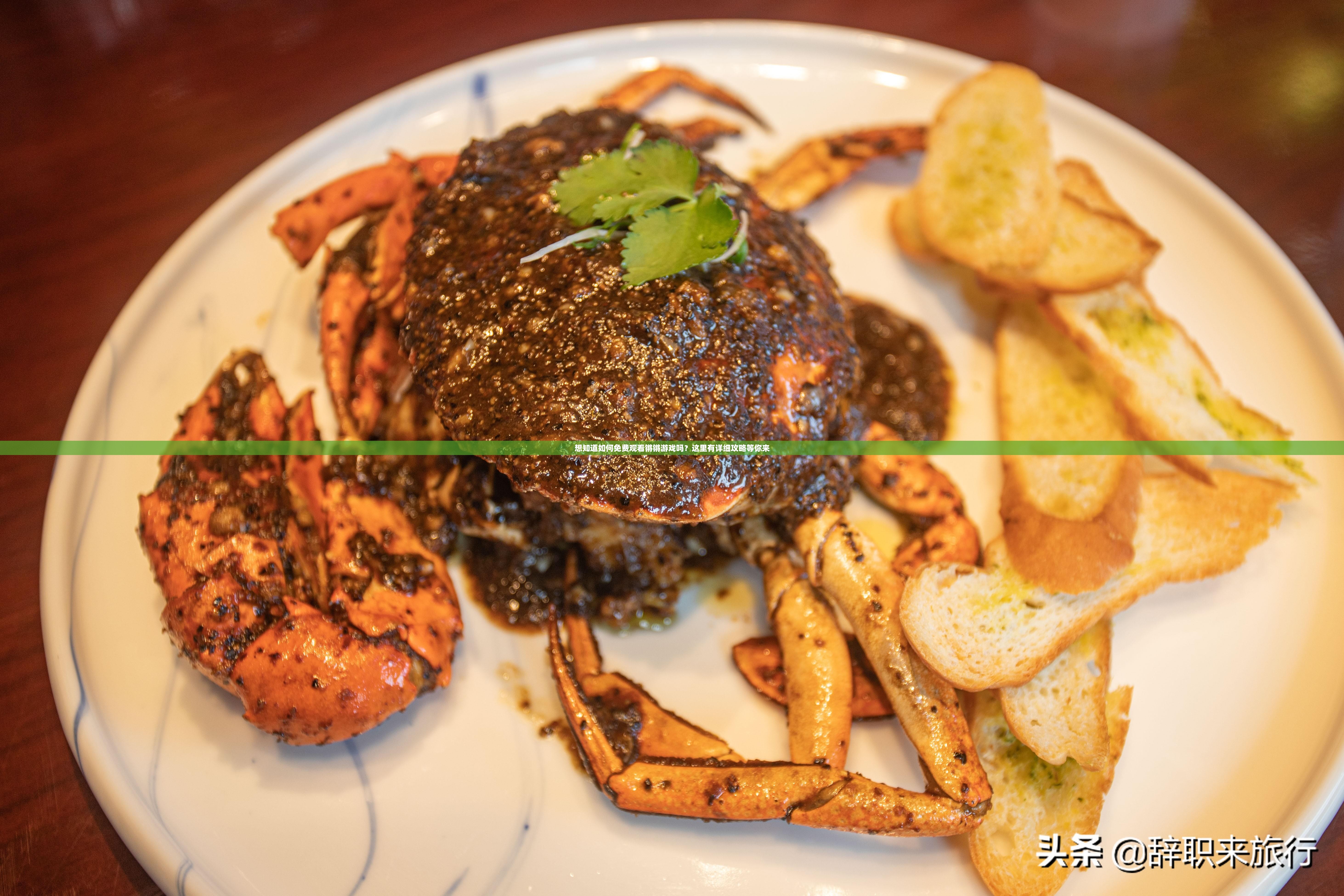 想知道如何免费观看锵锵游戏吗？这里有详细攻略等你来