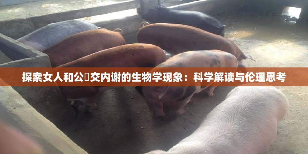 探索女人和公豬交内谢的生物学现象：科学解读与伦理思考