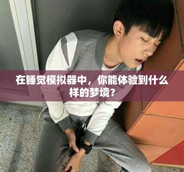 在睡觉模拟器中，你能体验到什么样的梦境？