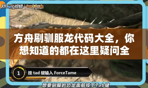 方舟刷驯服龙代码大全，你想知道的都在这里疑问全解答方舟刷驯服龙代码大全，全网热门实用代码汇总，你找到了吗？探索方舟刷驯服龙代码大全，各种神奇代码等你来发现