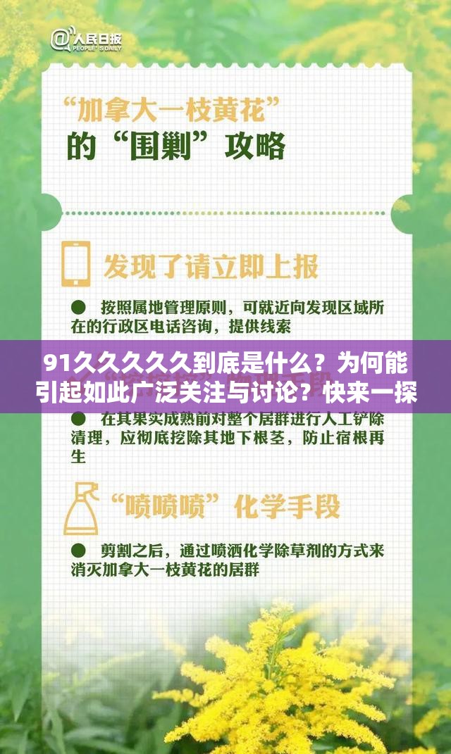 91久久久久久到底是什么？为何能引起如此广泛关注与讨论？快来一探究竟