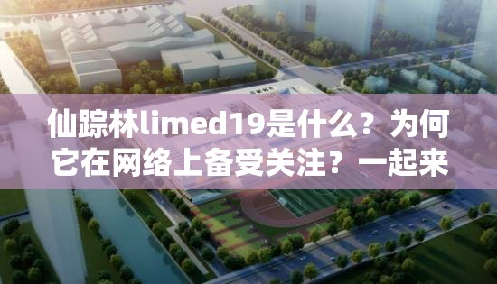 仙踪林limed19是什么？为何它在网络上备受关注？一起来了解一下