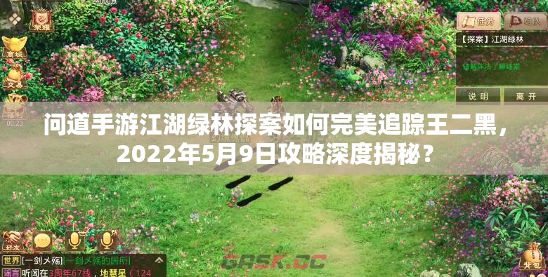 问道手游江湖绿林探案如何完美追踪王二黑，2022年5月9日攻略深度揭秘？