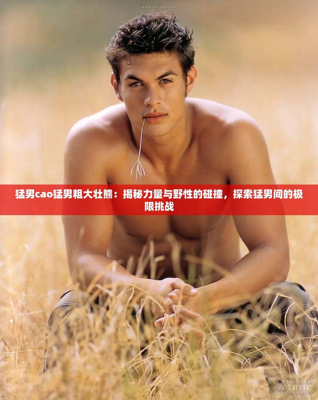 猛男cao猛男粗大壮熊：揭秘力量与野性的碰撞，探索猛男间的极限挑战