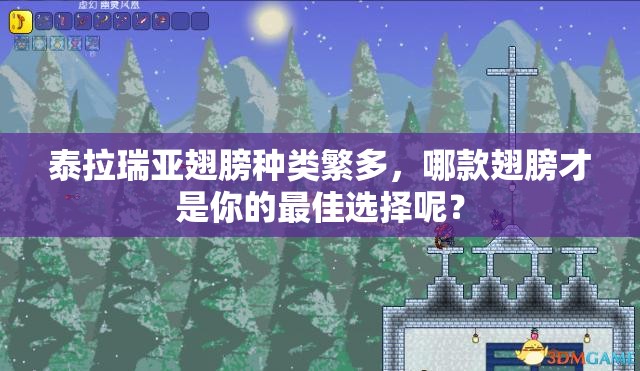 泰拉瑞亚翅膀种类繁多，哪款翅膀才是你的最佳选择呢？