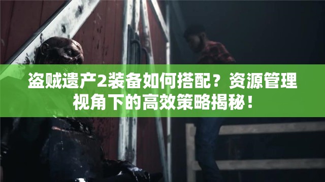 盗贼遗产2装备如何搭配？资源管理视角下的高效策略揭秘！