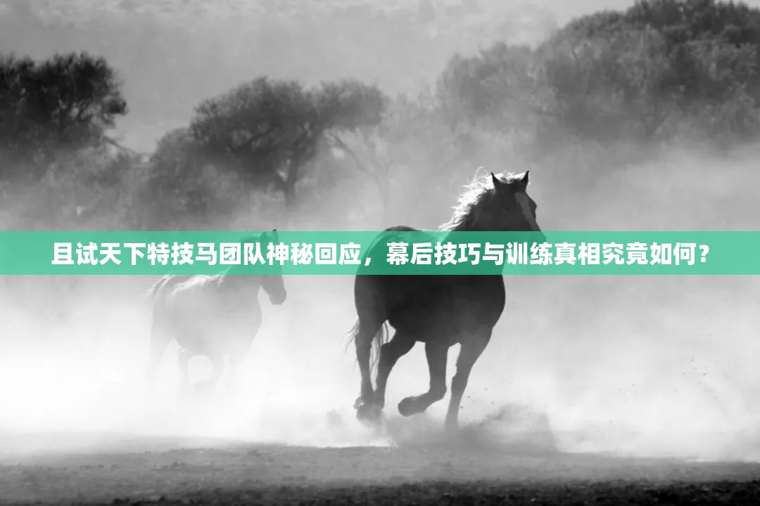 且试天下特技马团队神秘回应，幕后技巧与训练真相究竟如何？