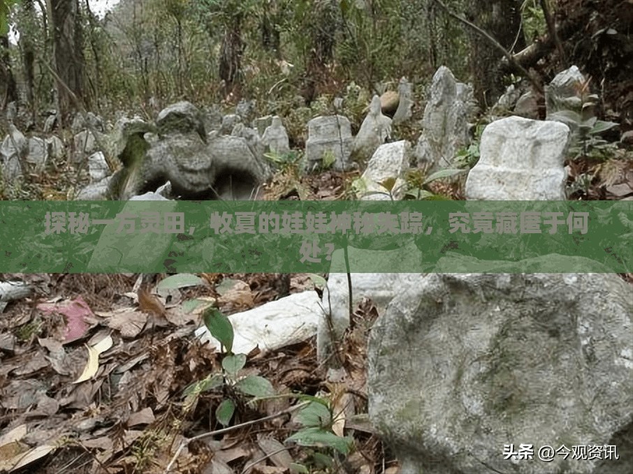 探秘一方灵田，牧夏的娃娃神秘失踪，究竟藏匿于何处？