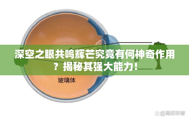 深空之眼共鸣辉芒究竟有何神奇作用？揭秘其强大能力！
