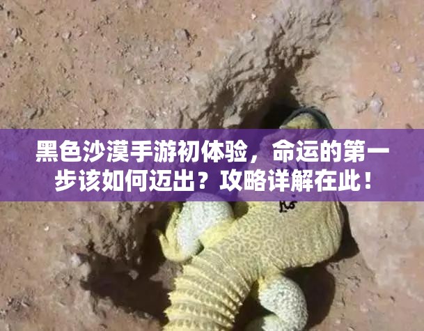 黑色沙漠手游初体验，命运的第一步该如何迈出？攻略详解在此！