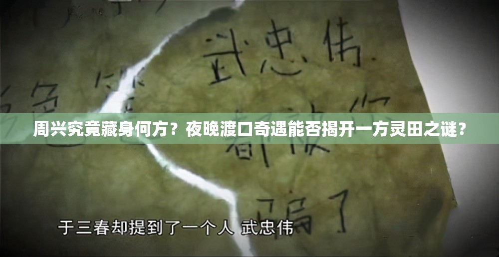 周兴究竟藏身何方？夜晚渡口奇遇能否揭开一方灵田之谜？