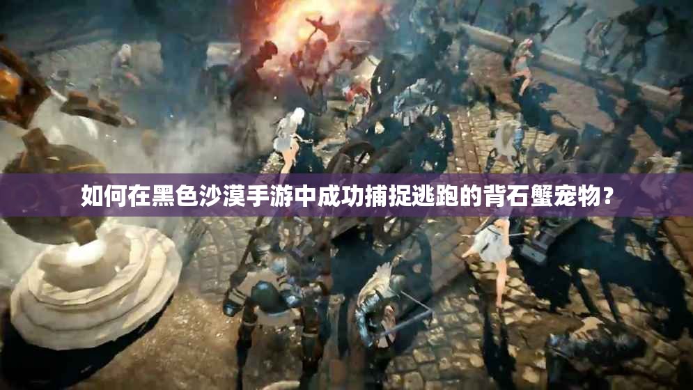 如何在黑色沙漠手游中成功捕捉逃跑的背石蟹宠物？