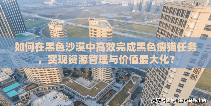 如何在黑色沙漠中高效完成黑色瘦猫任务，实现资源管理与价值最大化？
