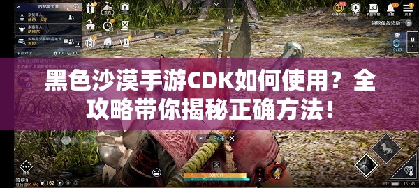 黑色沙漠手游CDK如何使用？全攻略带你揭秘正确方法！