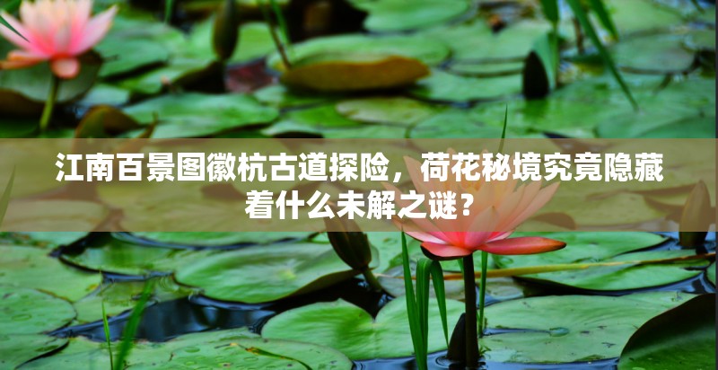 江南百景图徽杭古道探险，荷花秘境究竟隐藏着什么未解之谜？