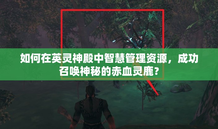 如何在英灵神殿中智慧管理资源，成功召唤神秘的赤血灵鹿？