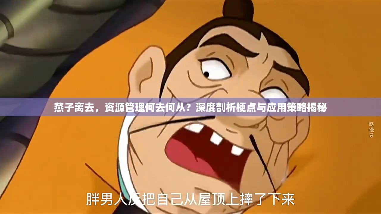 燕子离去，资源管理何去何从？深度剖析梗点与应用策略揭秘