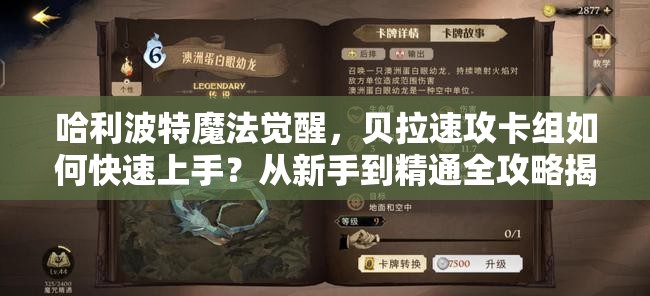 哈利波特魔法觉醒，贝拉速攻卡组如何快速上手？从新手到精通全攻略揭秘！