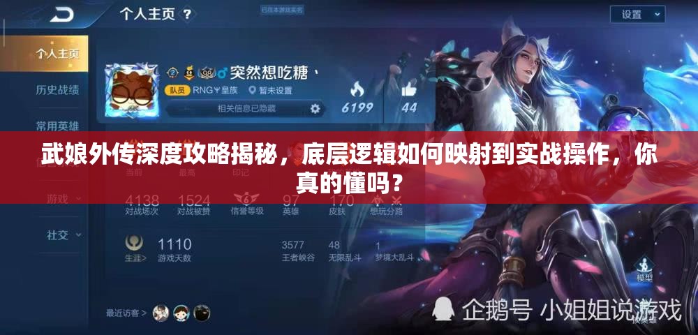武娘外传深度攻略揭秘，底层逻辑如何映射到实战操作，你真的懂吗？