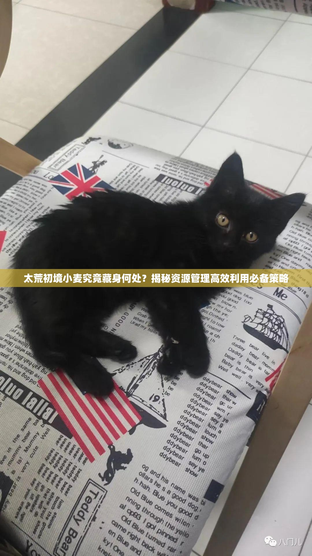 太荒初境小麦究竟藏身何处？揭秘资源管理高效利用必备策略