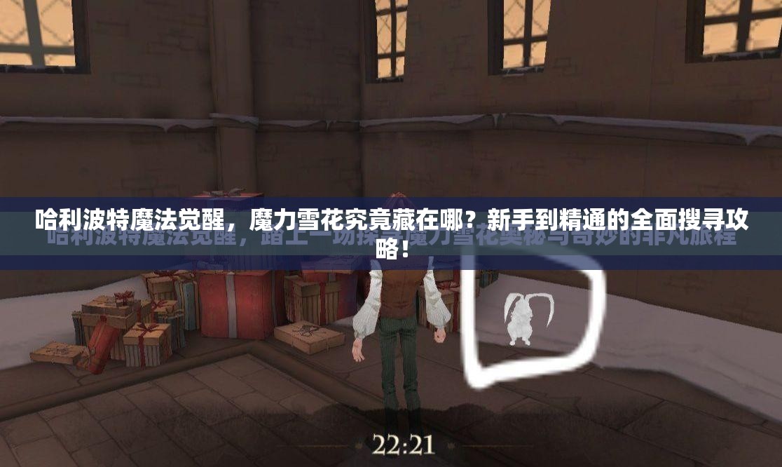 哈利波特魔法觉醒，魔力雪花究竟藏在哪？新手到精通的全面搜寻攻略！