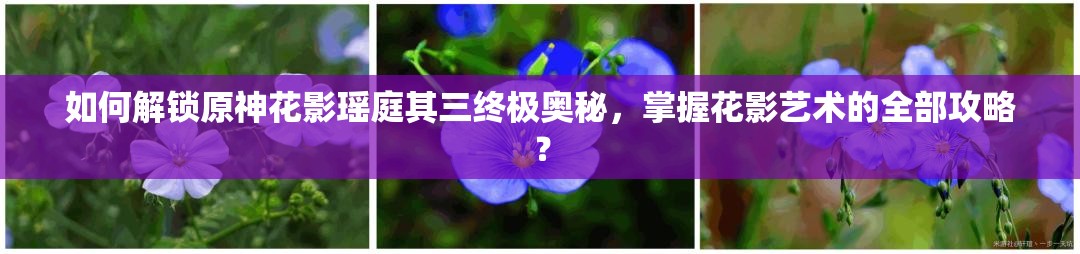 如何解锁原神花影瑶庭其三终极奥秘，掌握花影艺术的全部攻略？