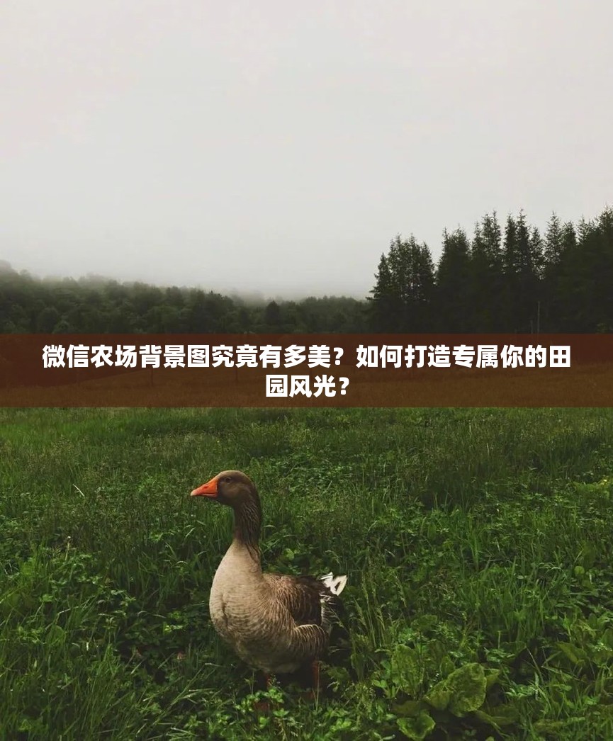 微信农场背景图究竟有多美？如何打造专属你的田园风光？