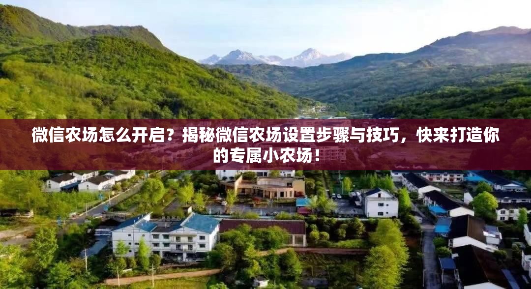 微信农场怎么开启？揭秘微信农场设置步骤与技巧，快来打造你的专属小农场！
