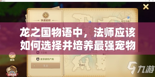 龙之国物语中，法师应该如何选择并培养最强宠物呢？