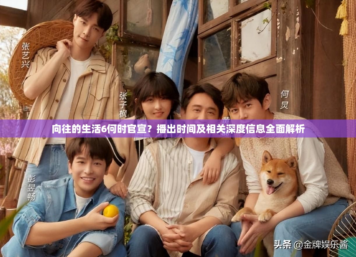 向往的生活6何时官宣？播出时间及相关深度信息全面解析
