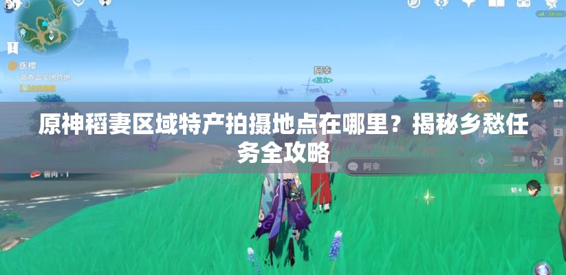 原神稻妻区域特产拍摄地点在哪里？揭秘乡愁任务全攻略