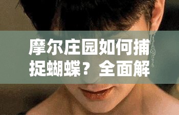 摩尔庄园如何捕捉蝴蝶？全面解析蝴蝶捕捉技巧与分布位置