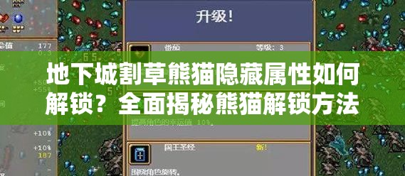地下城割草熊猫隐藏属性如何解锁？全面揭秘熊猫解锁方法