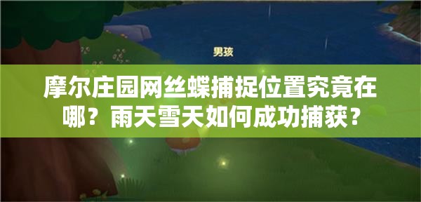摩尔庄园网丝蝶捕捉位置究竟在哪？雨天雪天如何成功捕获？