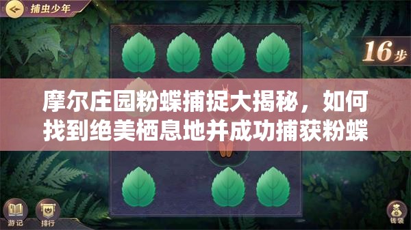 摩尔庄园粉蝶捕捉大揭秘，如何找到绝美栖息地并成功捕获粉蝶？