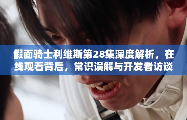 假面骑士利维斯第28集深度解析，在线观看背后，常识误解与开发者访谈揭秘什么？