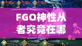 FGO神性从者究竟在哪里挑战？全面刷取位置揭秘！