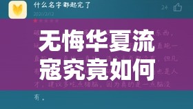 无悔华夏流寇究竟如何打法？揭秘策略技巧助你轻松制敌悬念吗？