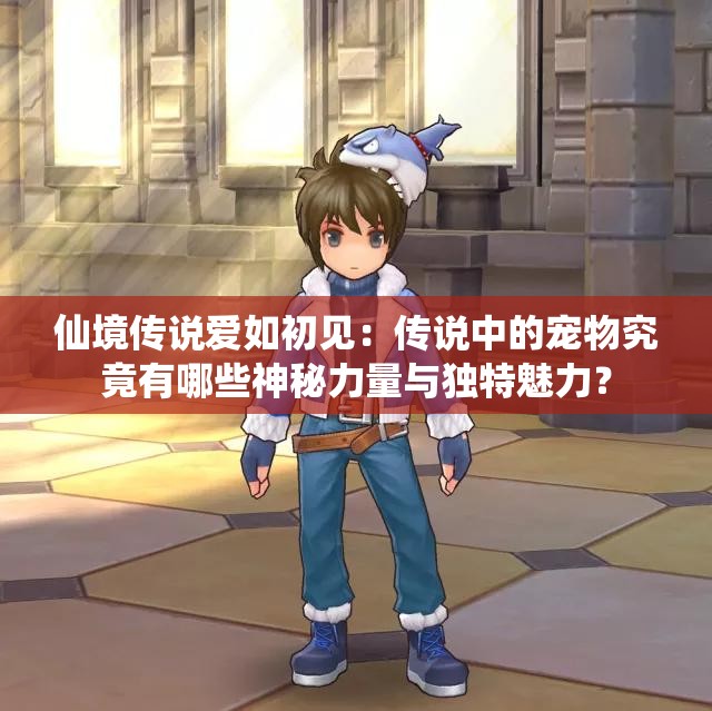 仙境传说爱如初见：传说中的宠物究竟有哪些神秘力量与独特魅力？