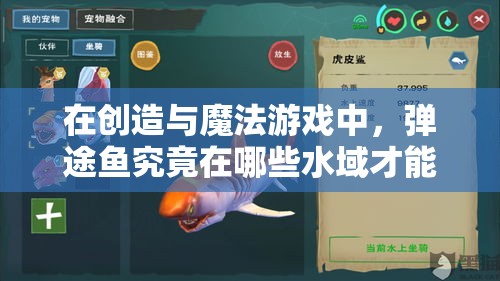 在创造与魔法游戏中，弹途鱼究竟在哪些水域才能成功钓到呢？